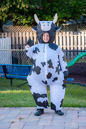 Wellington_Halloween_2025-3