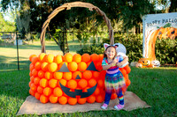 Wellington_Halloween_2025-10
