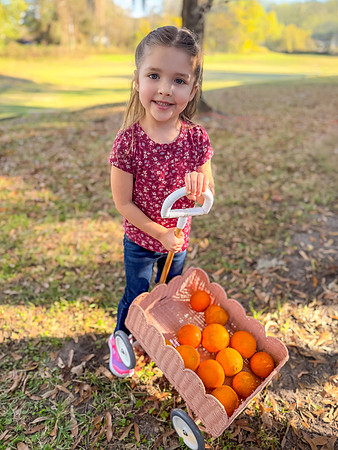 Aguirre_Orange_Juice_Party_January_2026-3