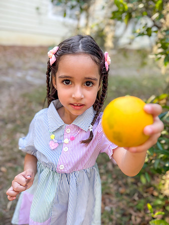 Aguirre_Orange_Juice_Party_January_2026-8